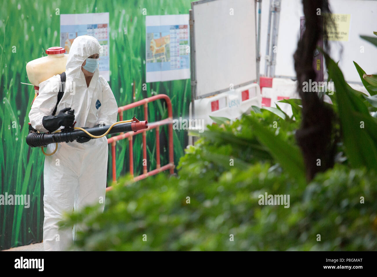 Hong Kong, Chine, l'homme pulvérise pesticides sur un buisson Banque D'Images