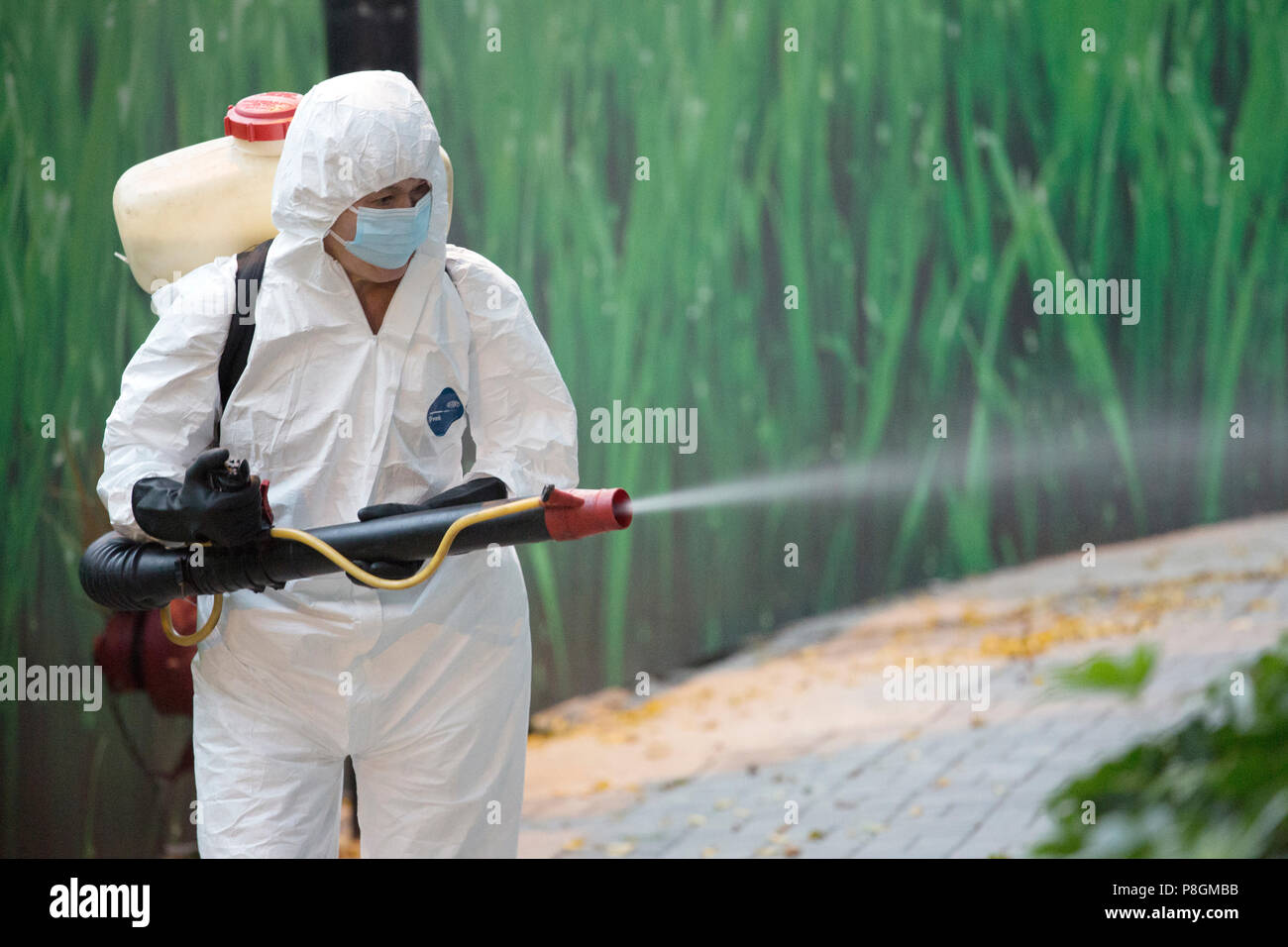 Hong Kong, Chine, l'homme de pulvérisations de pesticides Banque D'Images