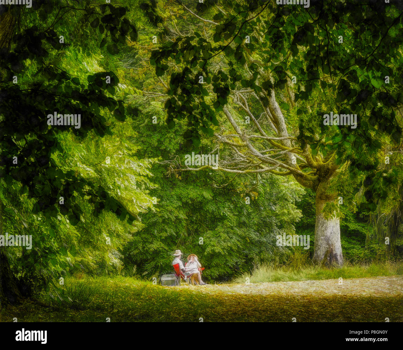 FINE ART NUMÉRIQUE : pique-nique dans le parc (image HDR) Banque D'Images