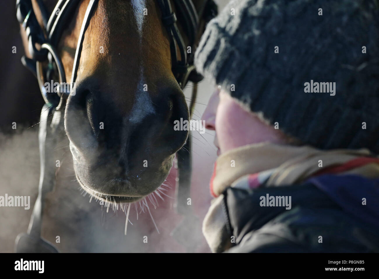 Neustadt (Dosse), marié est à côté de son cheval en hiver Banque D'Images