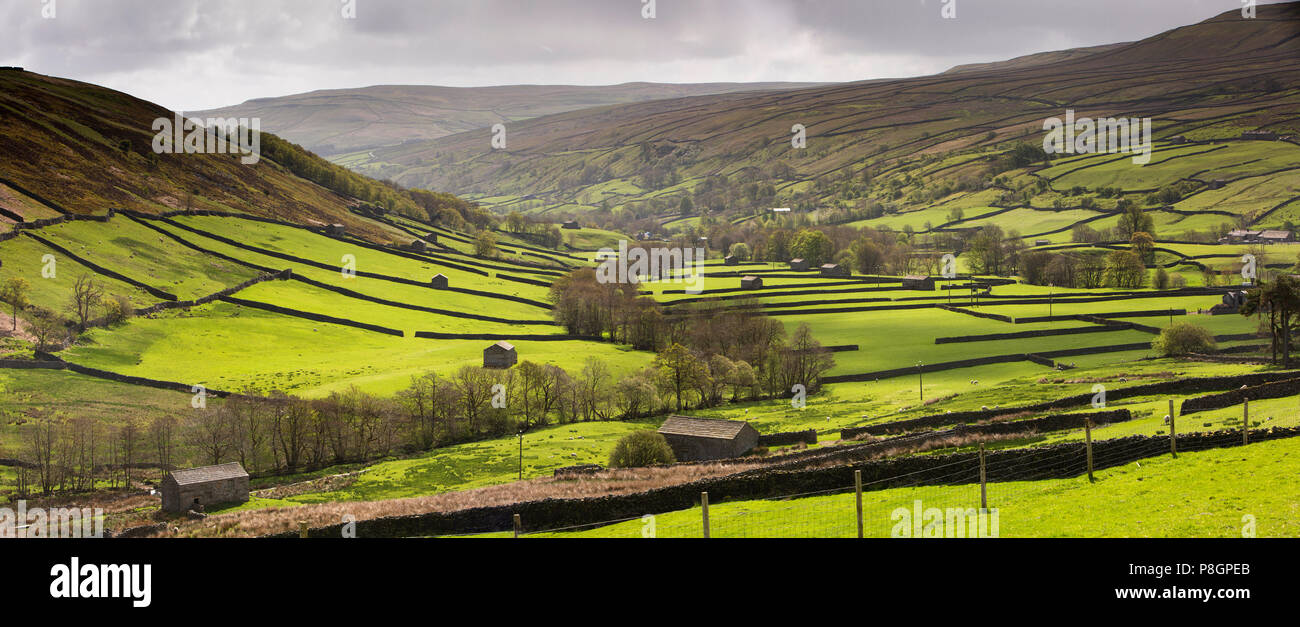 Royaume-uni, Angleterre, dans le Yorkshire, Swaledale, vue panoramique de Swaledale supérieur avec les champs séparés par des murs de pierres sèches de Angram Banque D'Images