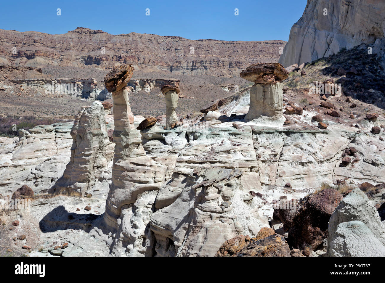 UT00419-00...UTAH - Une alcôve pleine de cheminées, une partie de l'Wahweap Hoodos, savoir pour leurs colonnes blanches à tête rouge les roches, dans le Grand Escalier Esc Banque D'Images