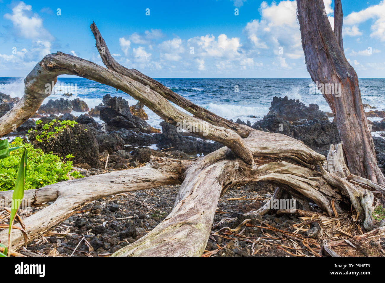 Plage et l'océan vagues à Keanae Peninsula, le long de la route de Hana sur l'île de Maui à Hawaii. Banque D'Images