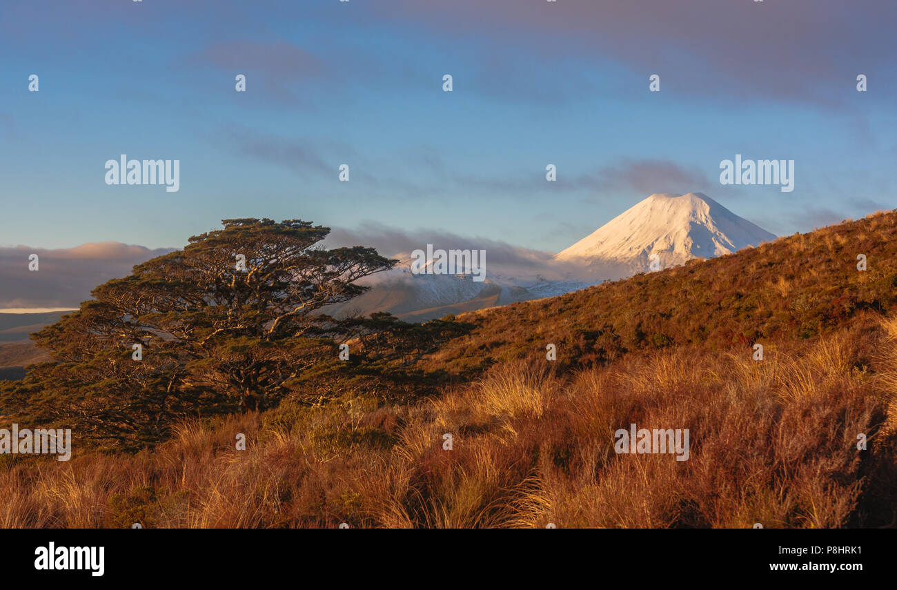 Le Mont Taranaki, Mount, Egmont National Park, New Zealand Banque D'Images