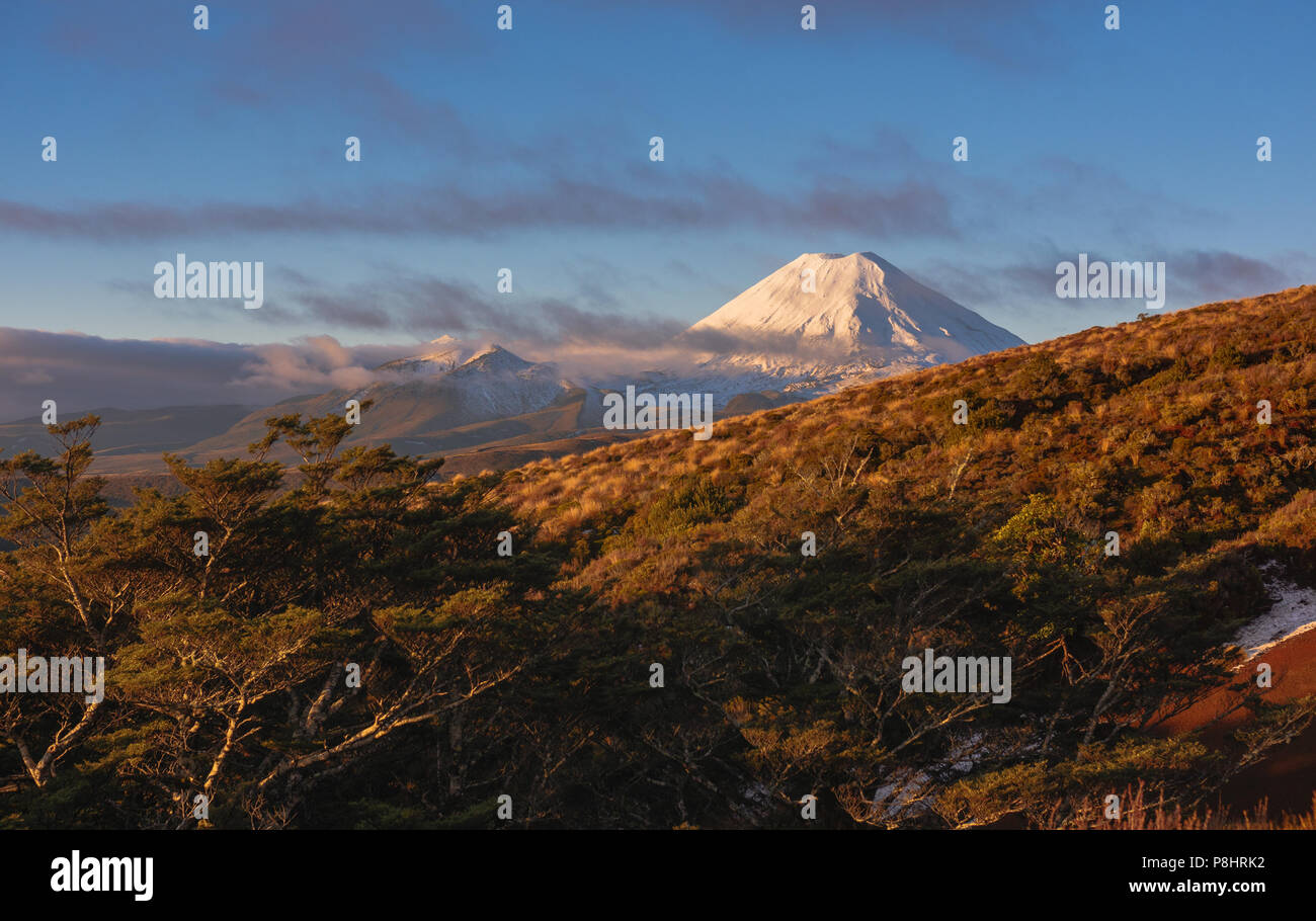 Le Mont Taranaki, Mount, Egmont National Park, New Zealand Banque D'Images