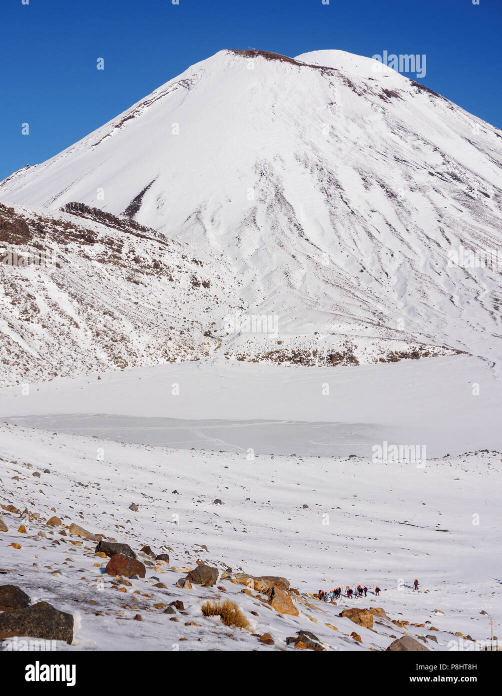 Le Mont Taranaki, mont. Parc National d'Egmont, Nouvelle-Zélande Banque D'Images