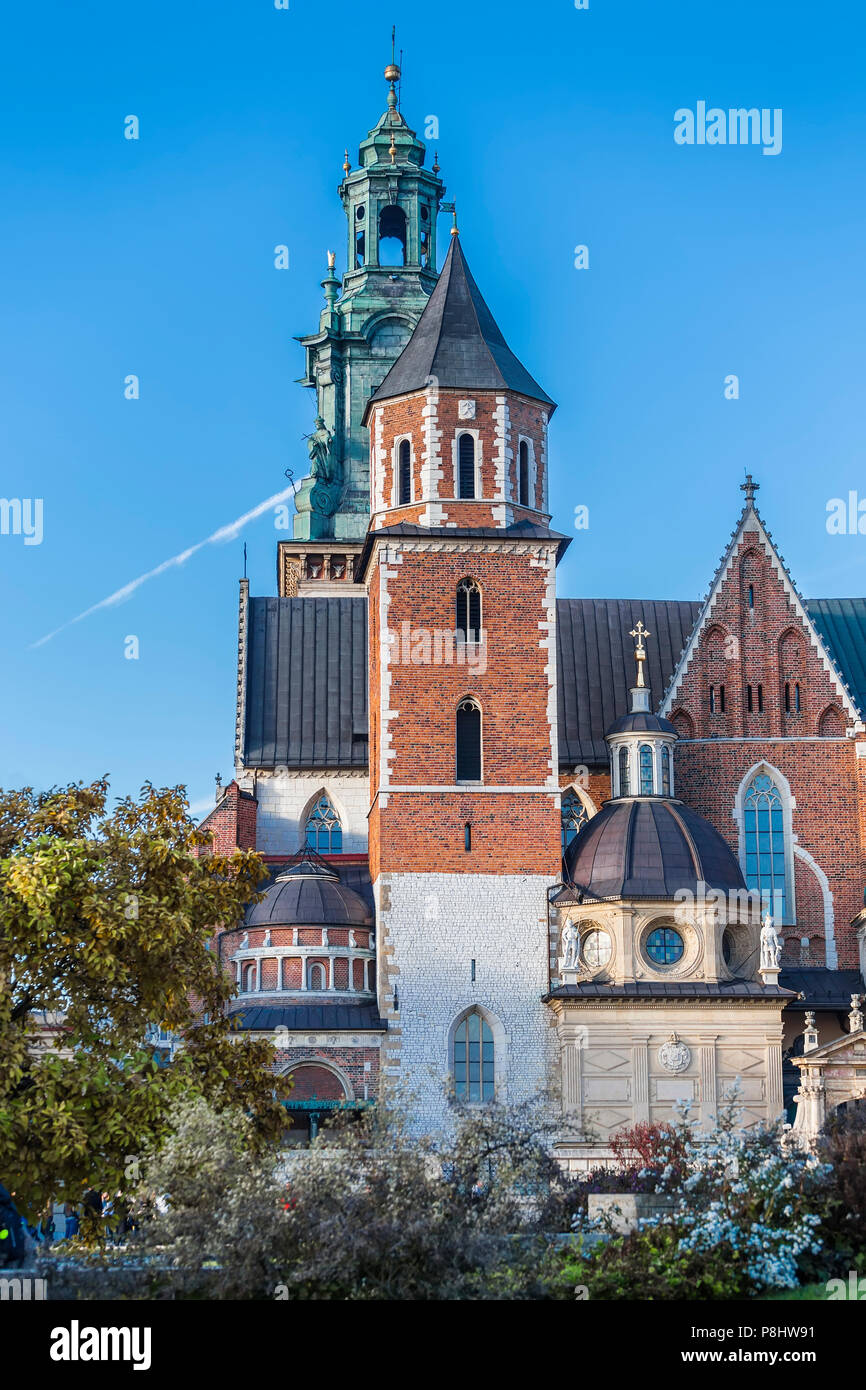 Basilique des Saints Stanislas et Venceslas sur la colline de Wawel Banque D'Images
