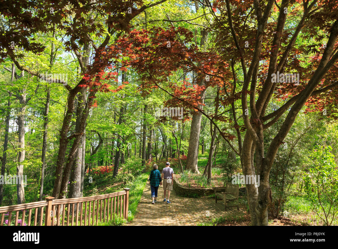 South Carolina Botanical Garden, Clemson, Caroline du Sud, USA Banque D'Images