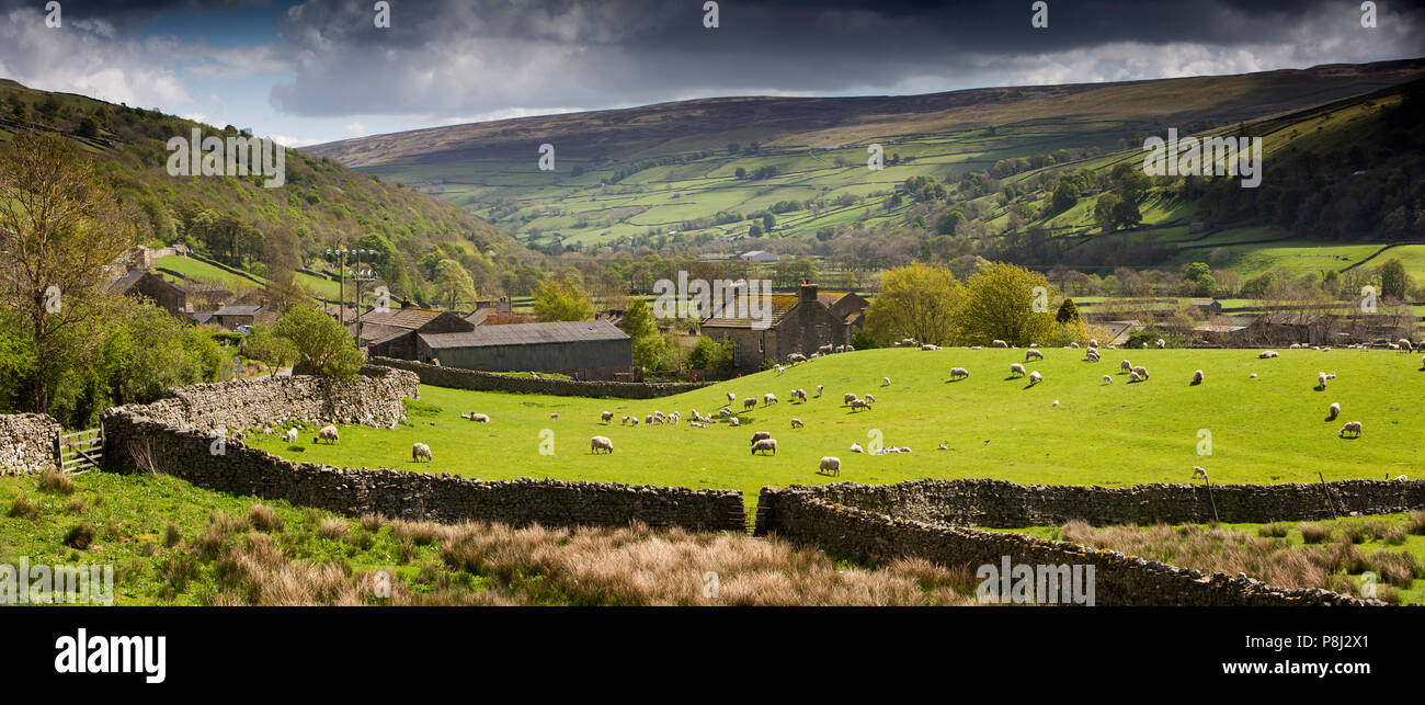 Royaume-uni, Angleterre, dans le Yorkshire, Swaledale, Gunnerside, Gunnerside moutons en champ au bord du village, vue panoramique Banque D'Images