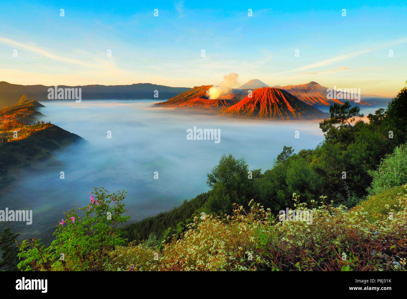 Bromo montagnes dans un beau lever de soleil Banque D'Images