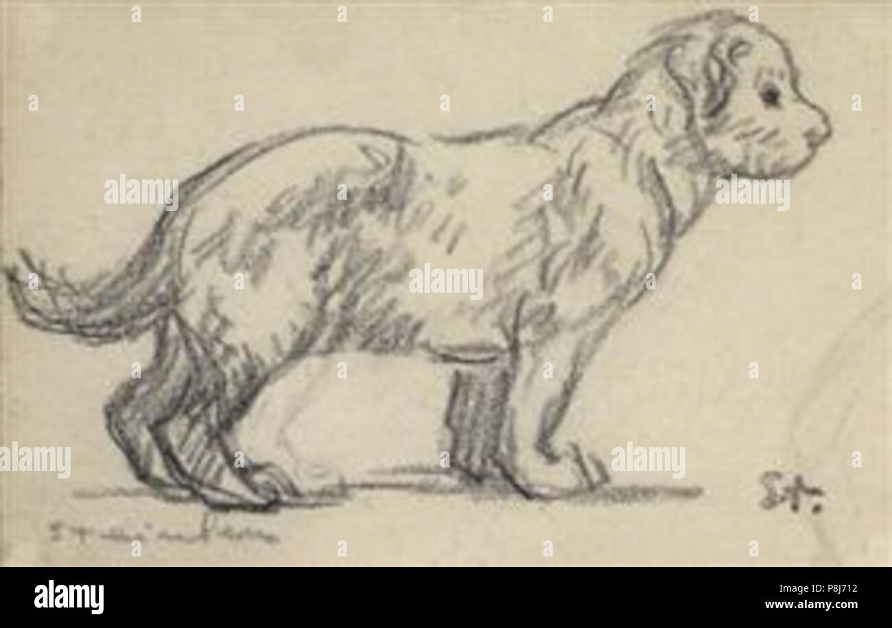 . 537 Steinlen - Etude-de-a-chiot-4050 Banque D'Images