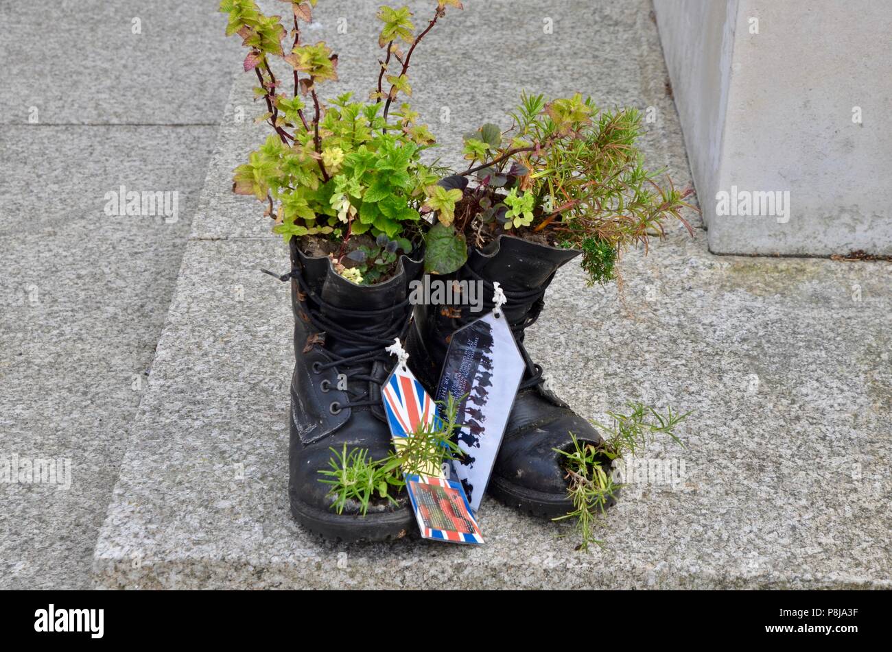 Une paire de bottes des soldats avec des herbes qui grandit en kent uk Banque D'Images