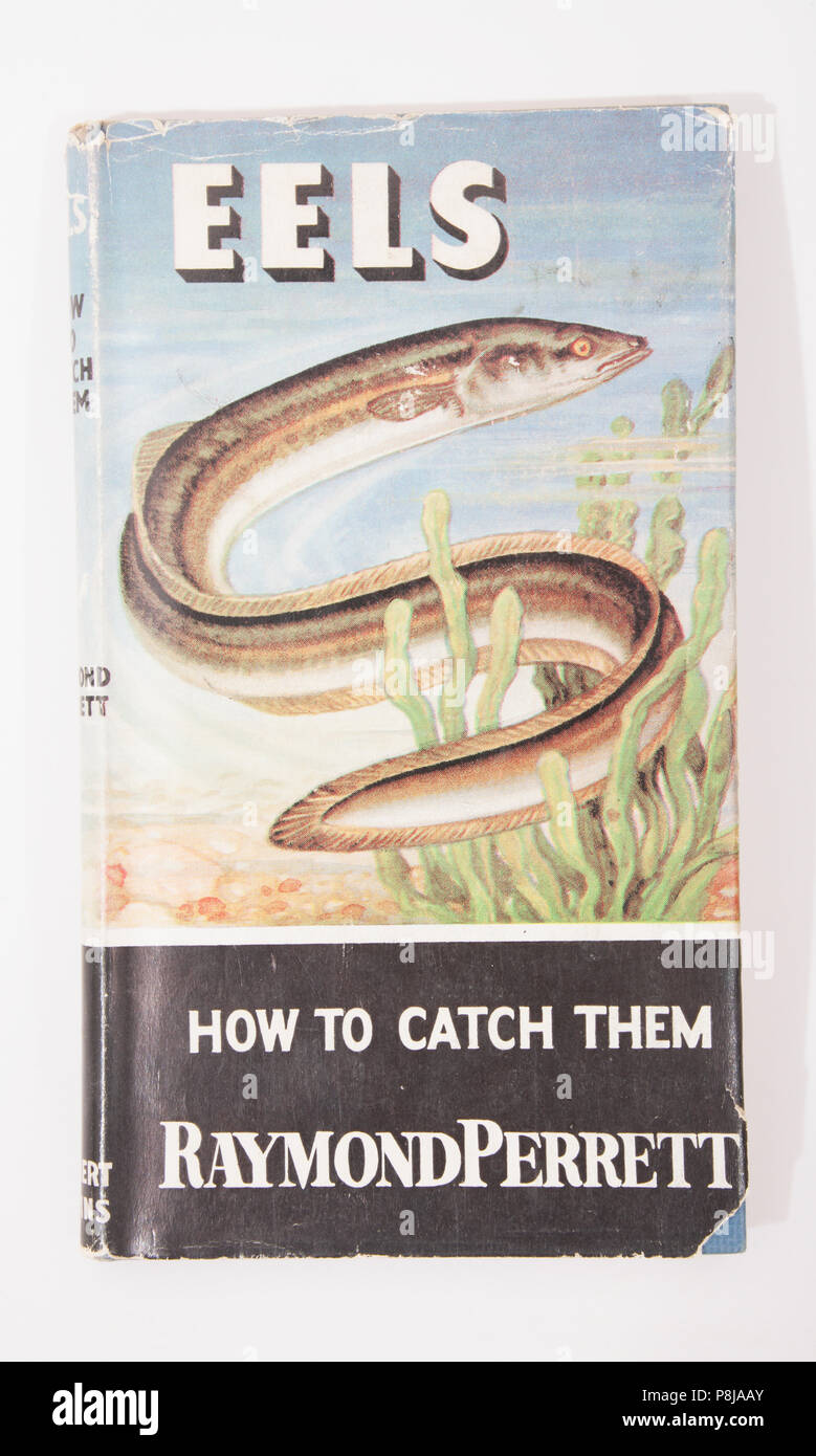 Les anguilles Comment les attraper par Raymond Perrett. Le Comment les attraper série de livres de pêche ont été publiés par Herbert Jenkins et a duré de 1954 à 1969 w Banque D'Images