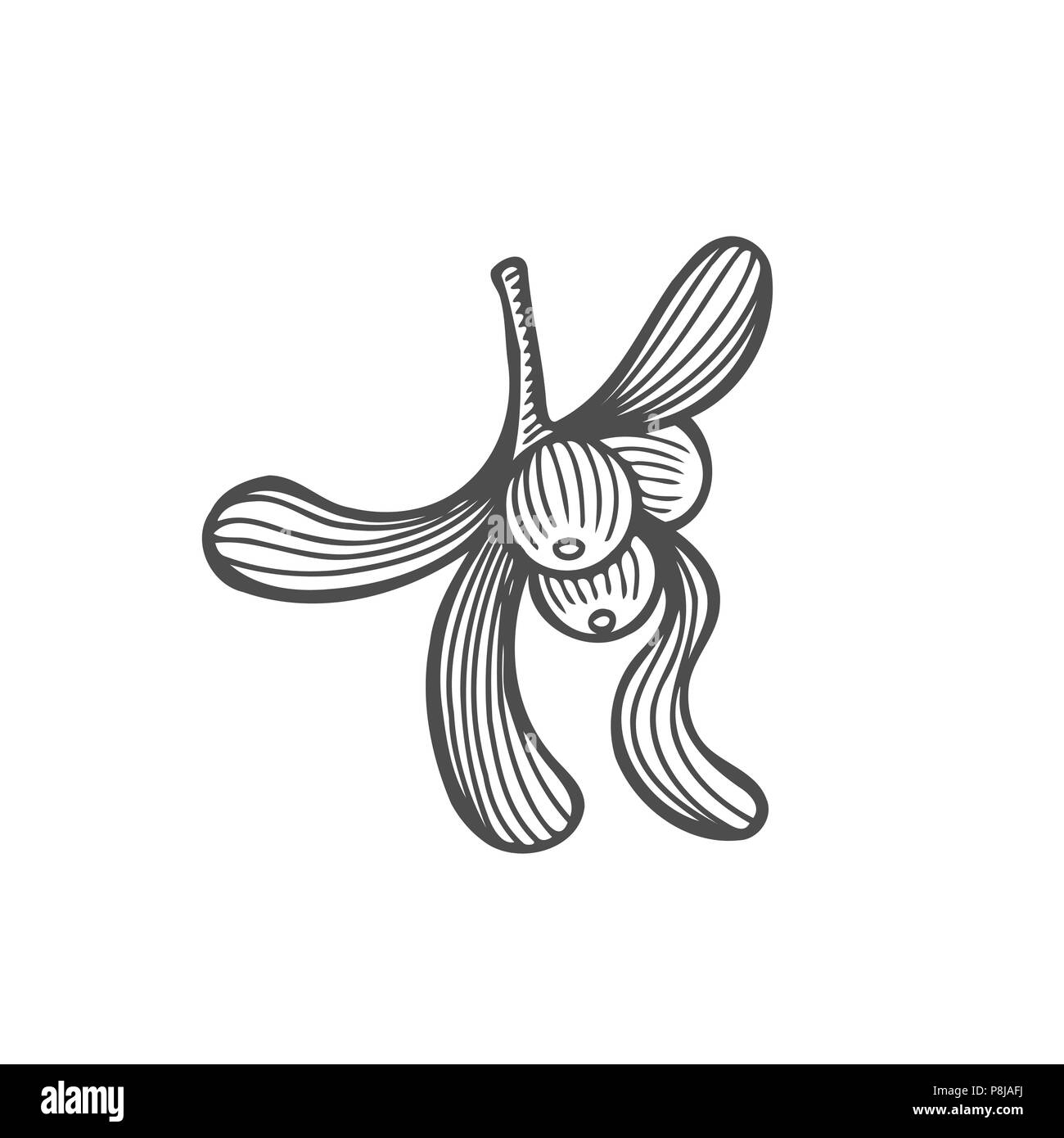L Encre Du Gui Branche Avec Feuilles Fruits Element De Design Monochrome Pour Le Web Pour Impression Stock Vector Illustration Image Vectorielle Stock Alamy L Encre Du Gui Branche Avec Feuilles Fruits Element De Design Monochrome Pour Le Web Pour Impression Stock Vector Illustration Image Vectorielle Stock Alamy