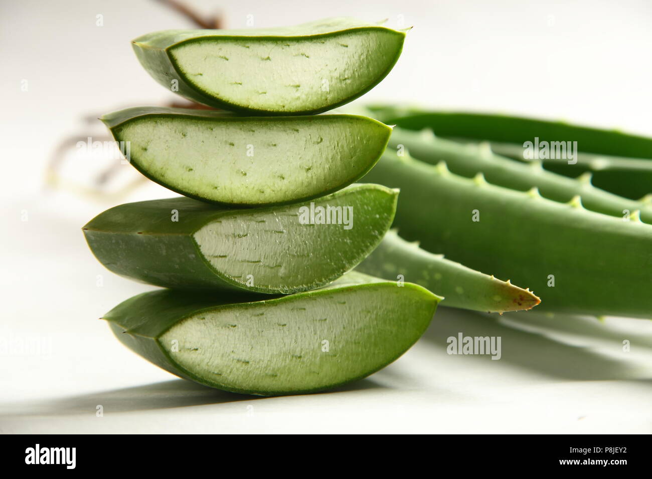 L'aloe vera biologique sauvage frais tranches de feuilles sur fond blanc Banque D'Images