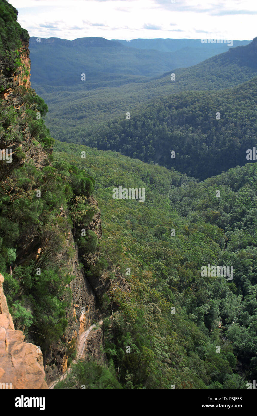 Mur falaise chemin du pied de Wentforth Falls, Blue Mountains, NSW, Australie : un long drop Banque D'Images