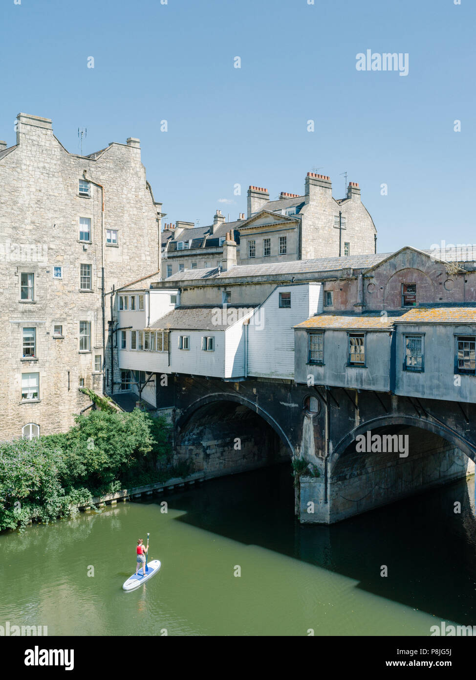 Palmier sur la plage sur la magnifique plage aux Maldives. Les Maldives. Maldive Île avec une mer turquoise. Banque D'Images