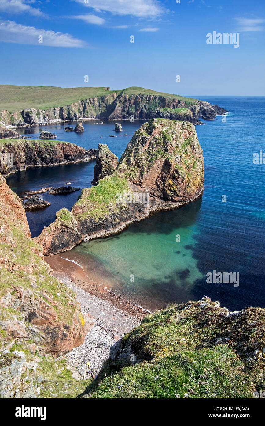 Côte spectaculaire avec des falaises et des piles à Westerwick, Mainland, Shetland, Scotland, UK Banque D'Images