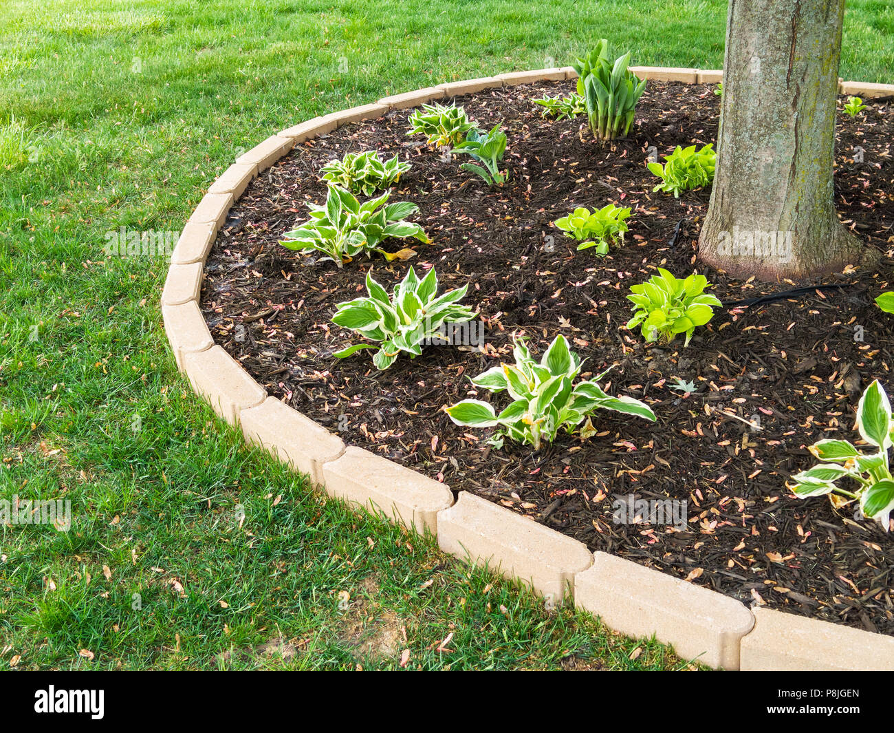 plant cozy Cozy Bundle main image 0