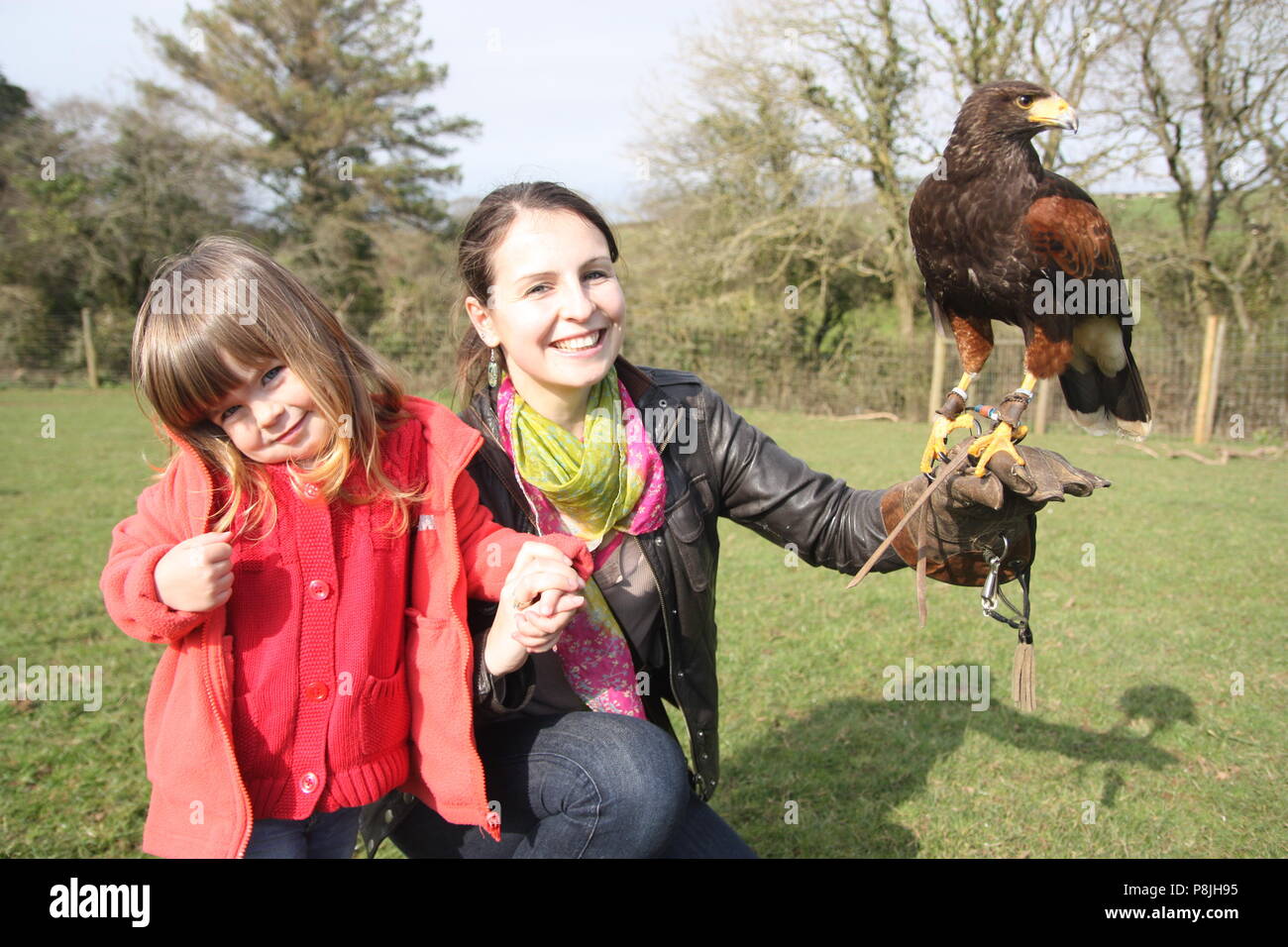 Les gens sur une fauconnerie marche avec un Harris Hawk Banque D'Images