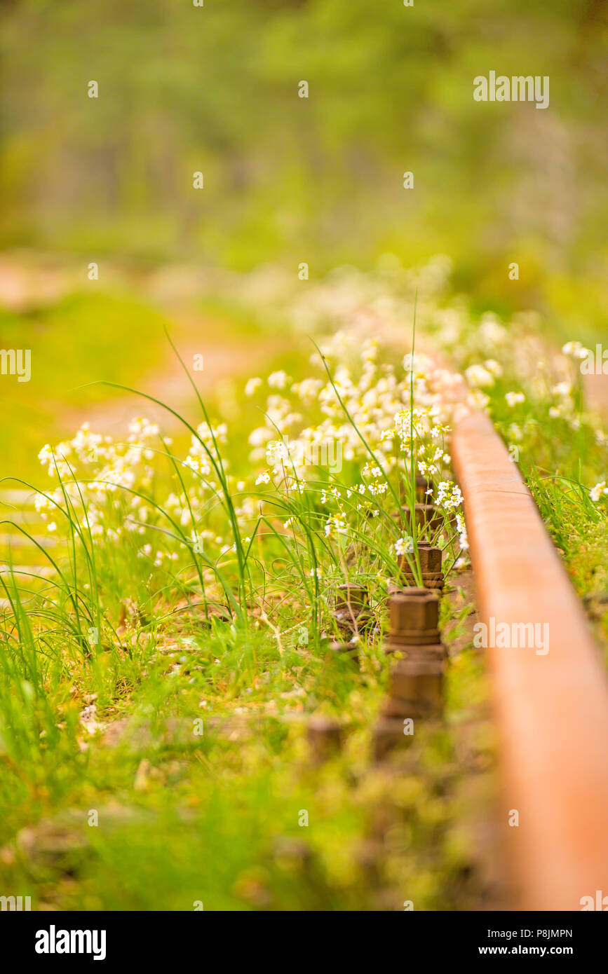 Rails de l'ordre de fleurs Banque D'Images