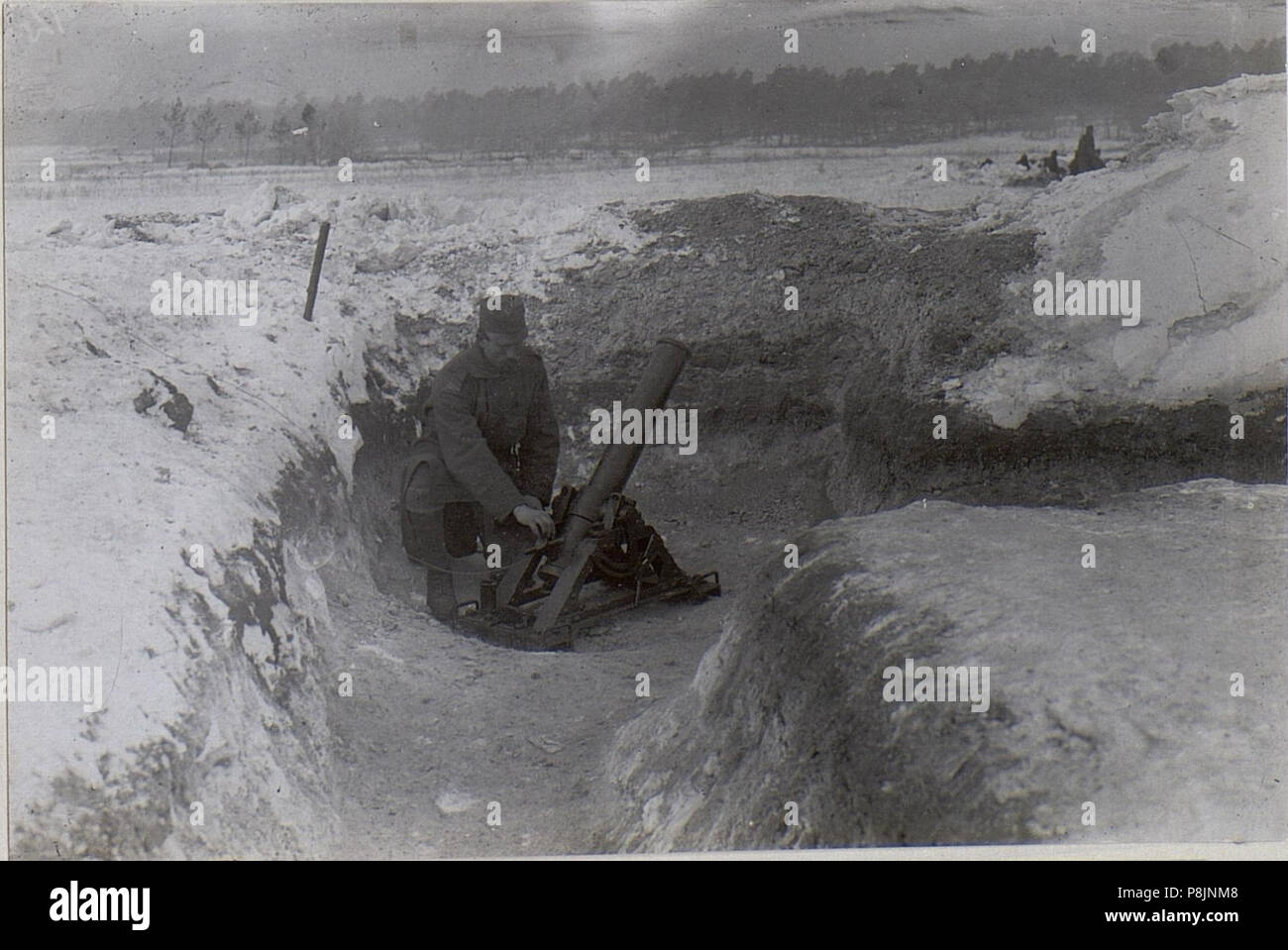 . 419 Minenwerferkurs BildID 12 cm Granatwerfer (15663095) Banque D'Images