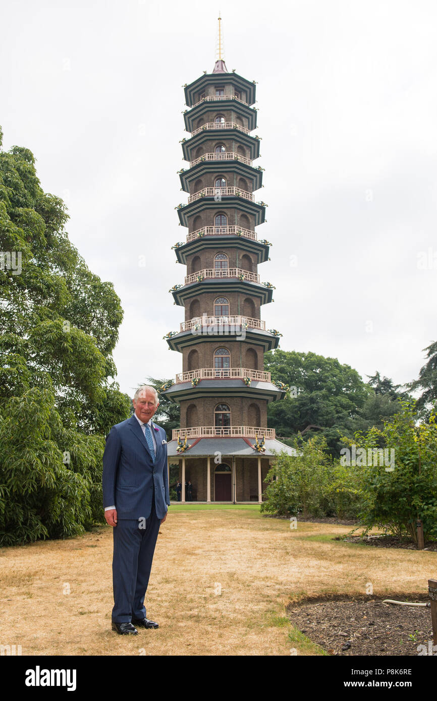 Le Prince de Galles lors d'une visite au Jardin botanique royal de Kew, Londres, pour célébrer l'Europe, récemment restauré maison et de visiter la pagode grand restauré. Banque D'Images