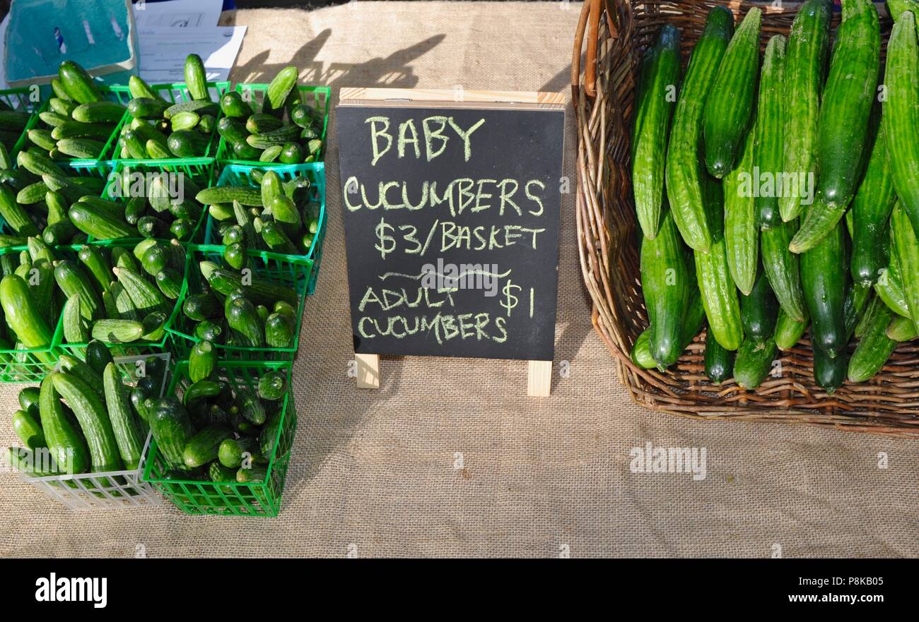 Funny baby' et 'adultes' concombres affichée à un marché d'agriculteurs farmstand tôt le matin, en Géorgie, USA. Banque D'Images