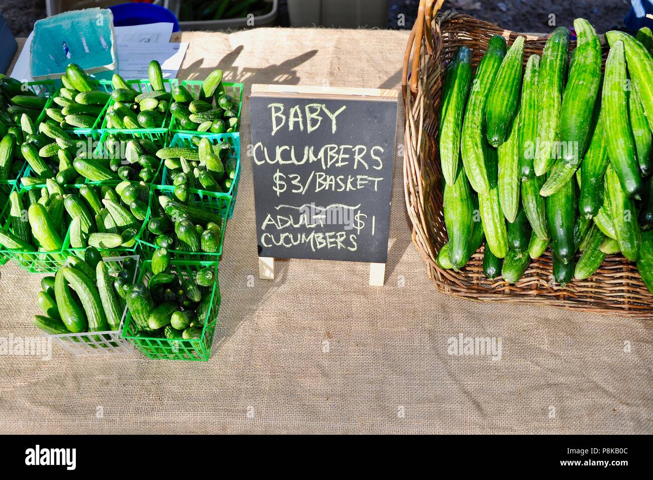 Funny baby' et 'adultes' concombres affichée à un marché d'agriculteurs farmstand tôt le matin, en Géorgie, USA. Banque D'Images