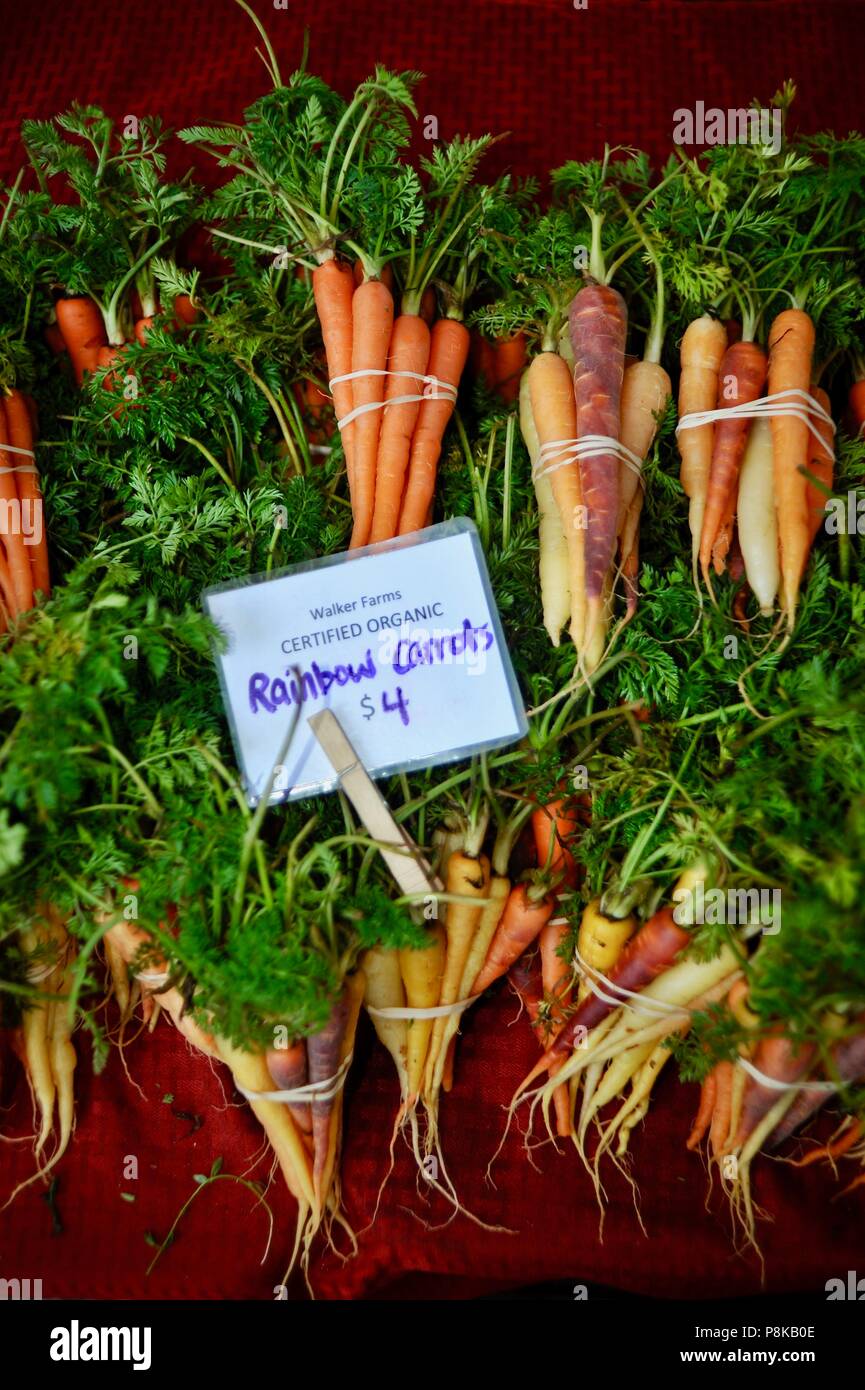 Tidy bottes de carottes arc-en-ciel multicolores) (à la Walker de fermes farmstand pour vendre au marché de fermiers dans la région de Savannah, Georgia, USA Banque D'Images