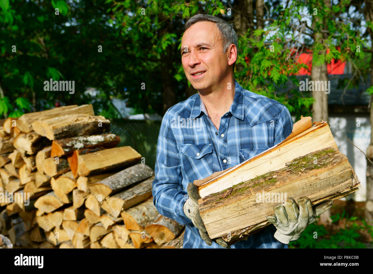 Un 50 ans caucasien homme portant une chemise bleue est à l'écart tout en empilant son bois pour la saison d'hiver, pour chauffer la maison. Banque D'Images