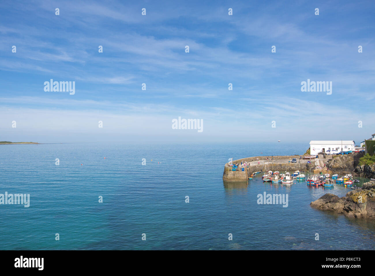 Le port et le village de village de pêcheurs cornouaillais de Coverack dans Cornwall, UK sur une belle journée d'été. Banque D'Images
