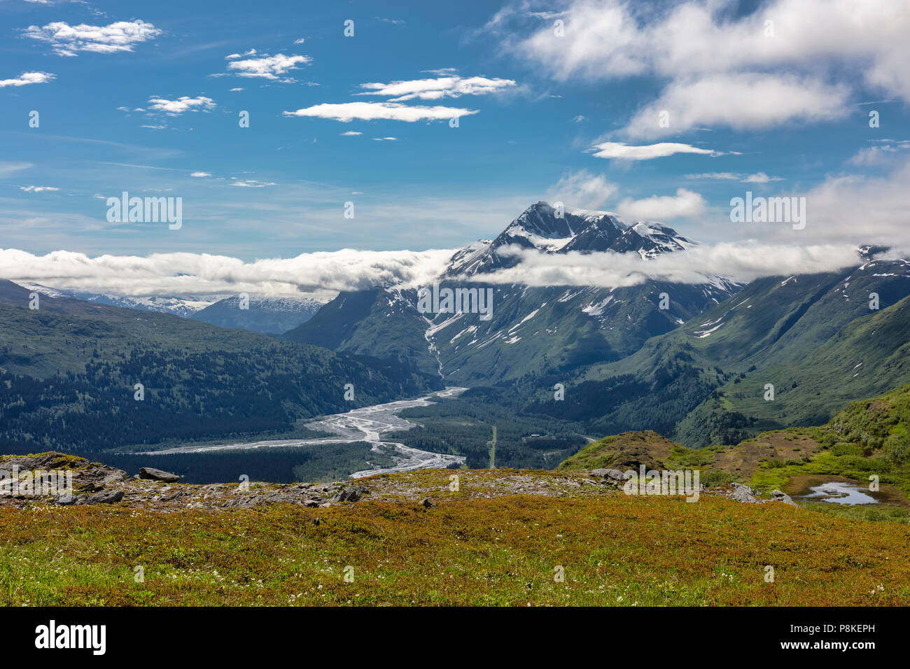 Vue panoramique de la vallée de la rivière Thompson Lowe passer dans le sud de l'Alaska. Banque D'Images