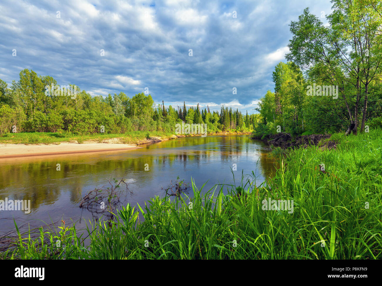 Beau paysage d'été avec la nature sibérienne. Chet rivière dans la région de Tomsk. Banque D'Images