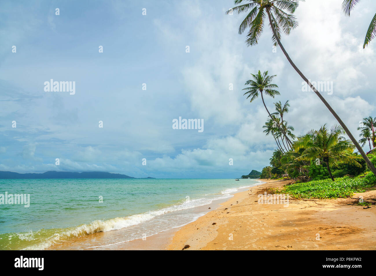 Étonnamment belle nature de la Thaïlande. Banque D'Images