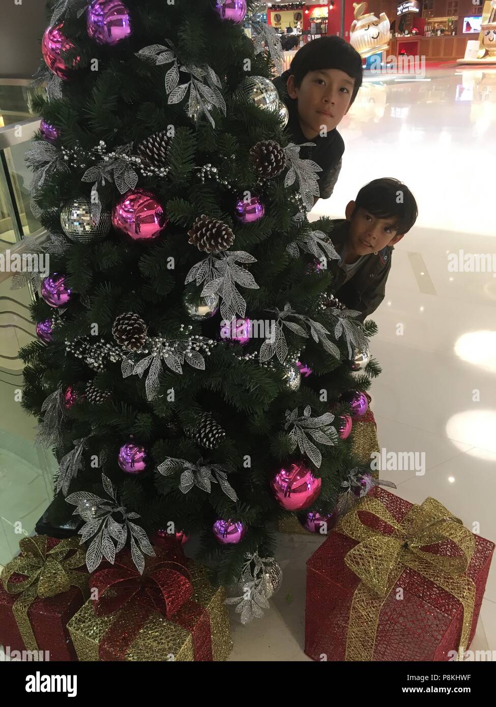 2 jeunes garçons sont cache derrière un arbre de Noël Banque D'Images