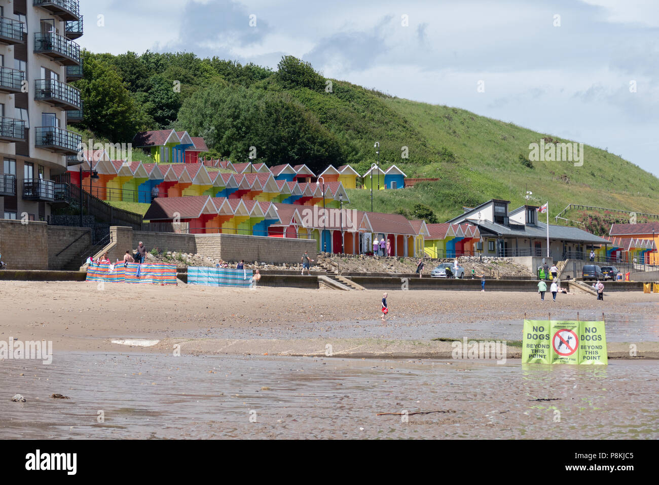 Le chien marque Signes friendly domaine de la plage à North Bay, Scarborough, Yorkshire, UK Banque D'Images