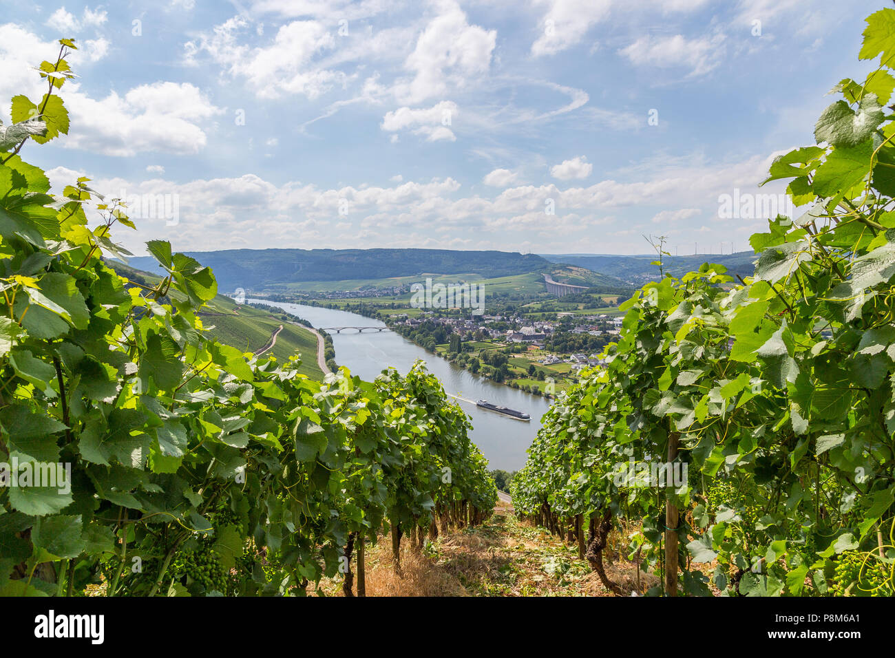 Longuich Moselle à l'Allemagne l'Europe. Banque D'Images