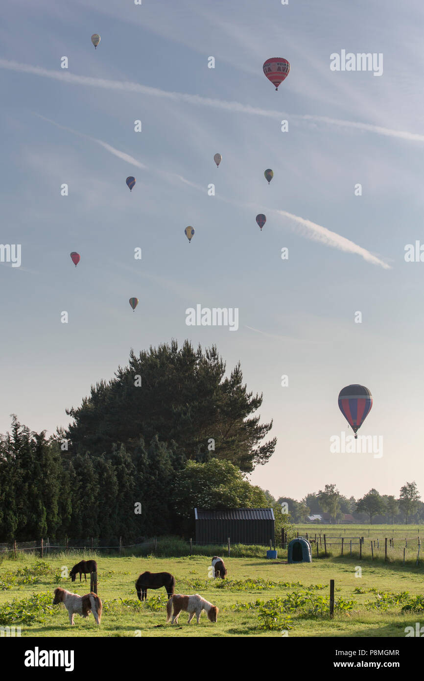 Les montgolfières volent au-dessus de paysage de campagne Banque D'Images