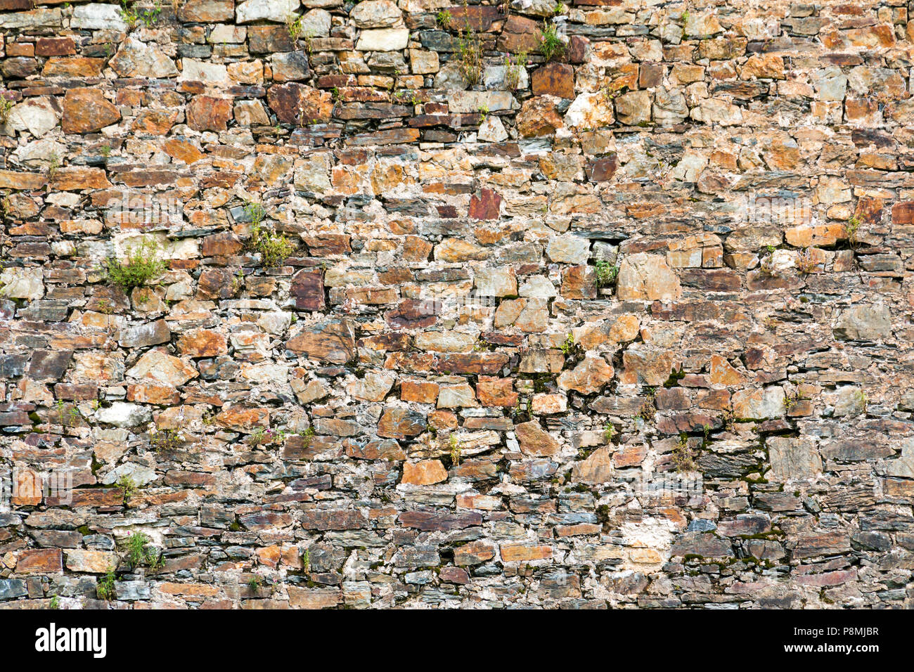 Mur en pierre ancienne inégale avec de plus en plus de mauvaises herbes dans les fissures Banque D'Images