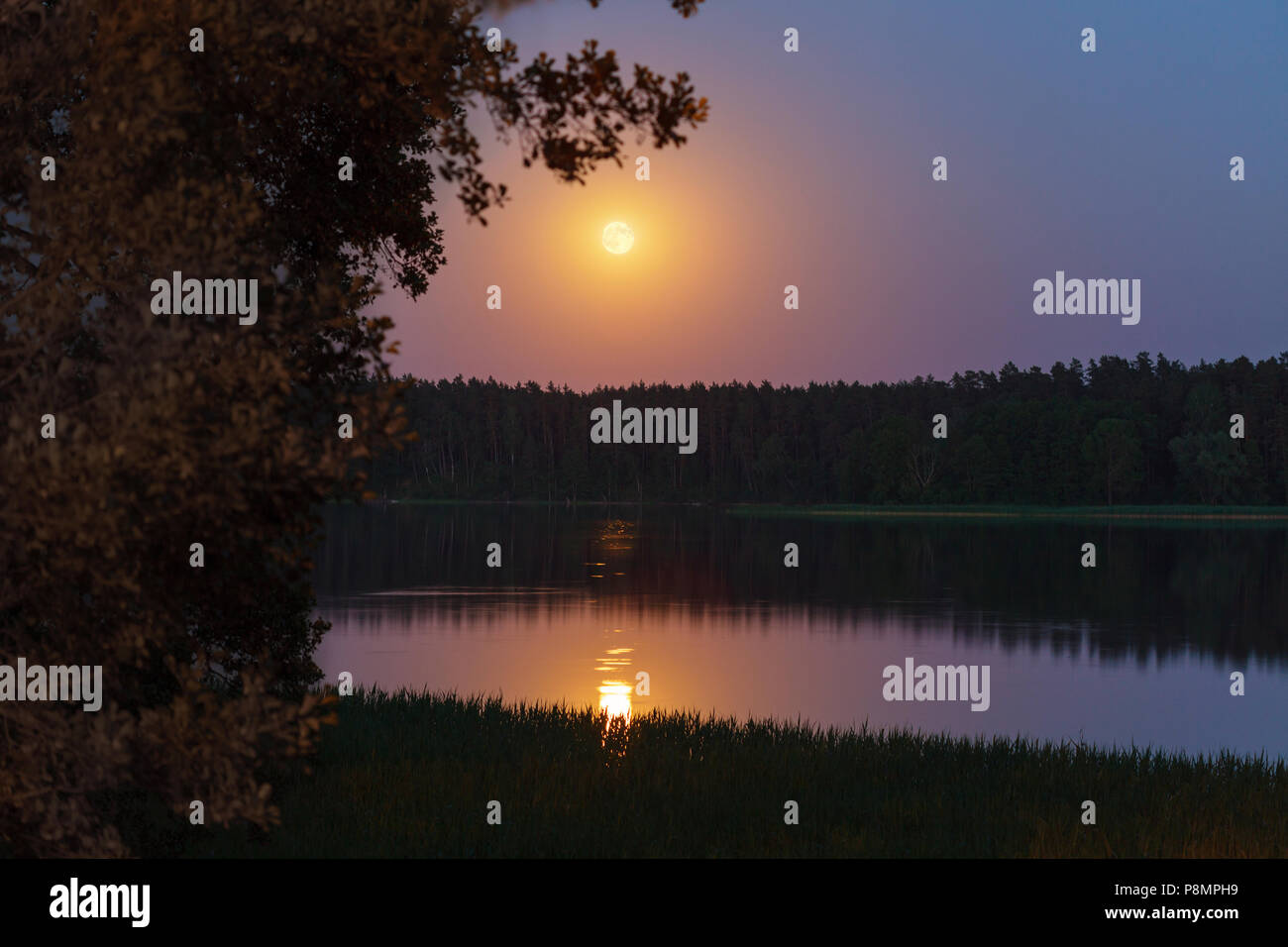 Paysage du soir de lune se lever sur le lac calme Banque D'Images