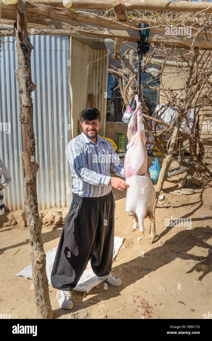 La province du Lorestan, Iran - 1 Avril 2018 : les hommes de l'Iran et de l'écorcher l'abattage des moutons dans la cour pour la cérémonie du mariage dans le village. Banque D'Images