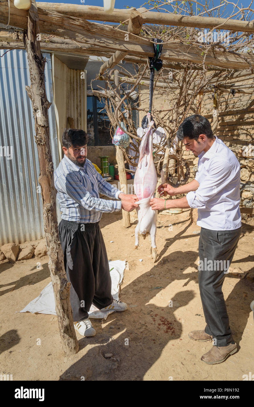 La province du Lorestan, Iran - 1 Avril 2018 : les hommes de l'Iran et de l'écorcher l'abattage des moutons dans la cour pour la cérémonie du mariage dans le village. Banque D'Images