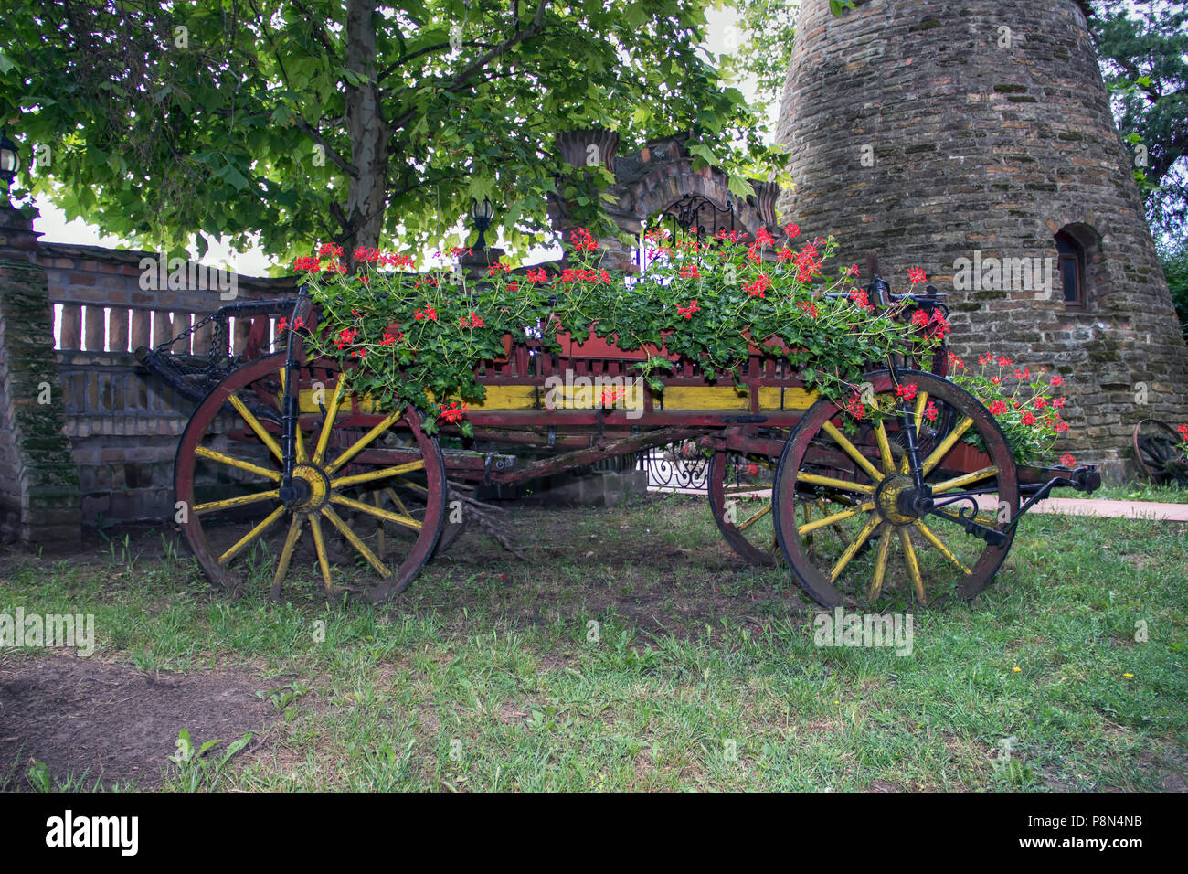 Campagne, Serbie - boiseries en bois vintage panier rempli d'été colorés de fleurs et de plantes en pot Banque D'Images