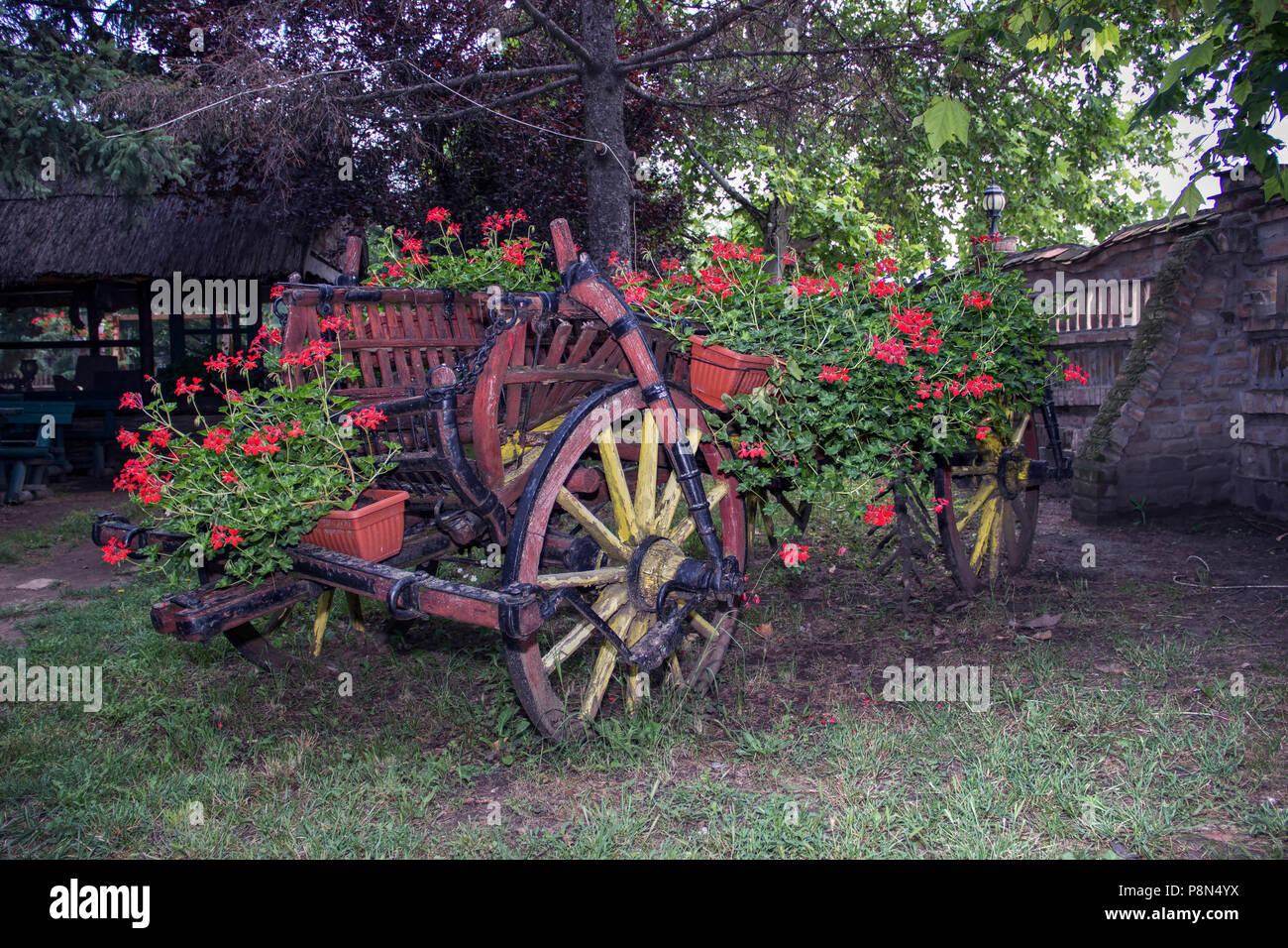 Campagne, Serbie - boiseries en bois vintage panier rempli d'été colorés de fleurs et de plantes en pot Banque D'Images
