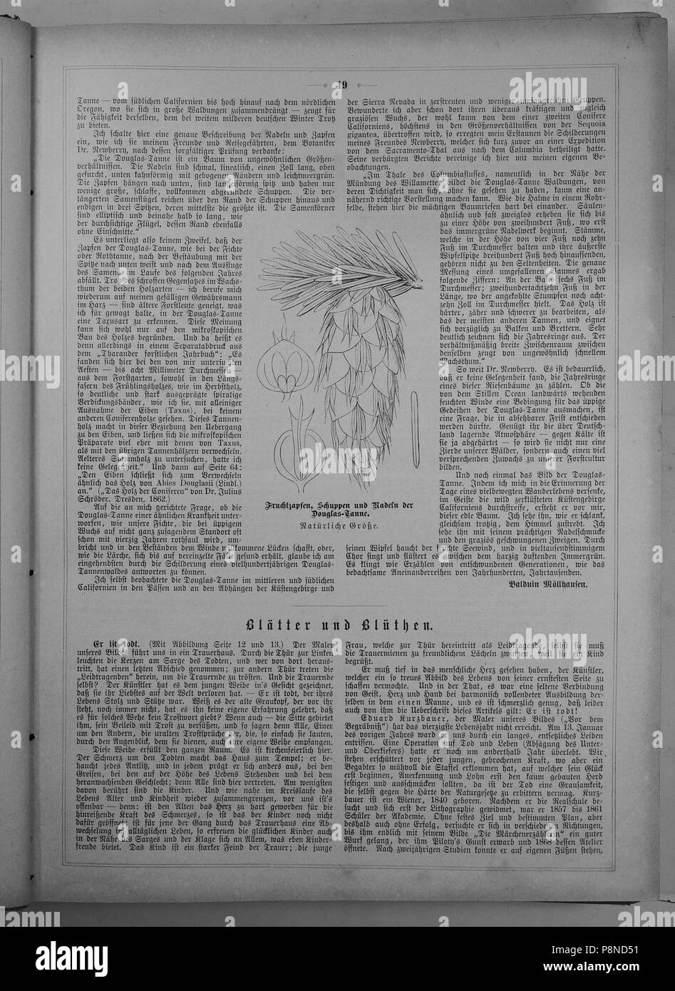 . 194 Die Gartenlaube (1880) 019 Banque D'Images