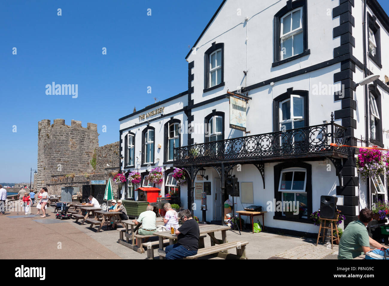L'Anglesey Arms pub, Caernarfon, Gwynedd, Pays de Galles Banque D'Images