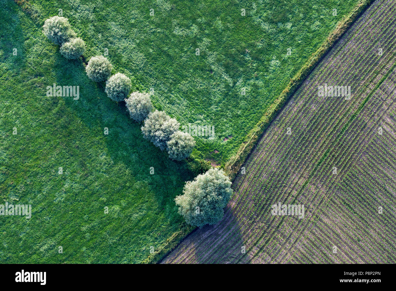 Vue aérienne de champs et d'arbres dans la vallée de l'Yzer Banque D'Images