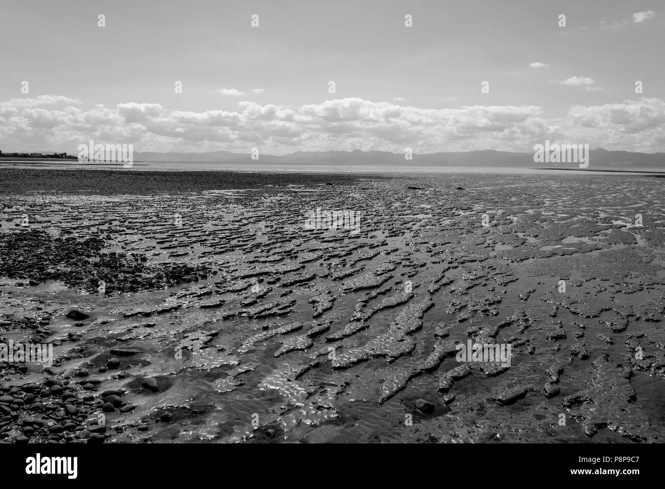 Mimet, en Nouvelle-Zélande. Estuaire de la Tamise à marée basse Banque D'Images