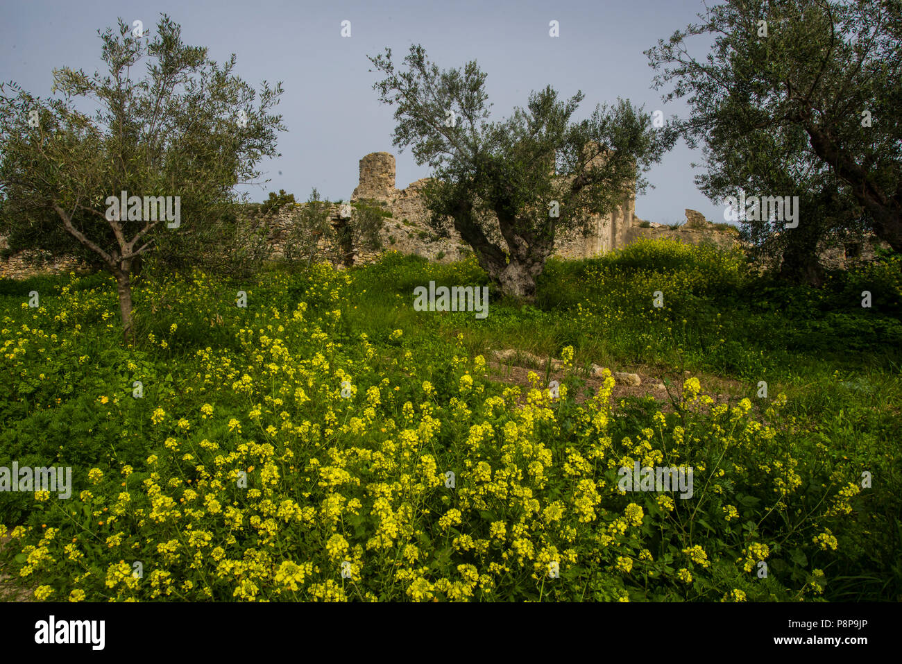 L'Europe, Grèce, Macédoine, mesinia, Koroni, ville, château Banque D'Images